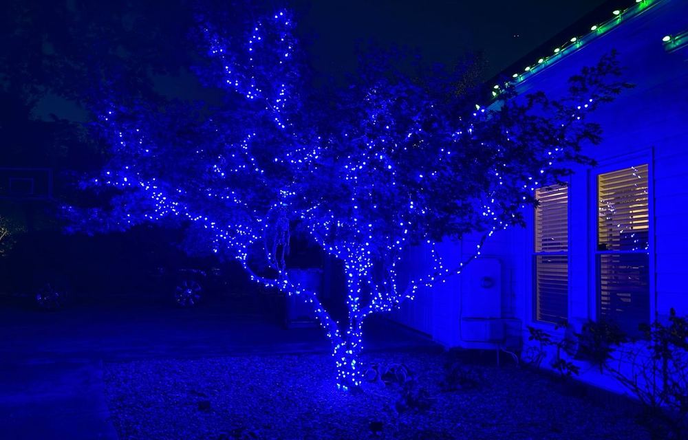 A large front-yard tree wrapped in lights beside a lit house